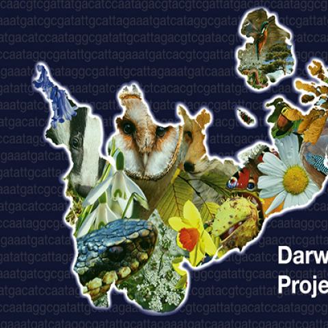 Cafe Sci Cambridge: The Darwin Tree of Life Project