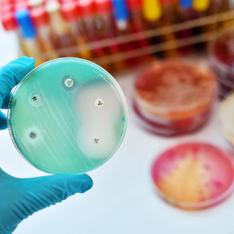 genomics lite: antimicrobial resistance in focus