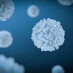 genomics lite: t cells in focus